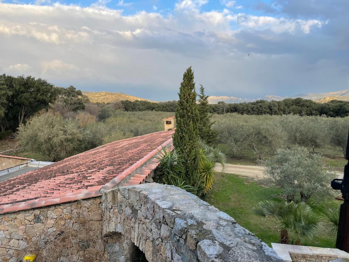 Domaine Du Reginu Hotel Santa-Reparata-di-Balagna Exterior foto